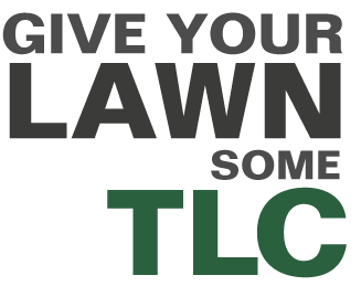 Give your lawn some TLC