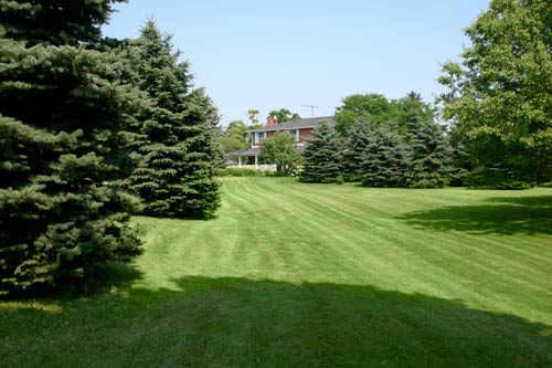 large property mowing