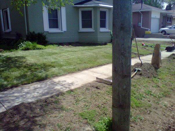 sodding and repair of lawn